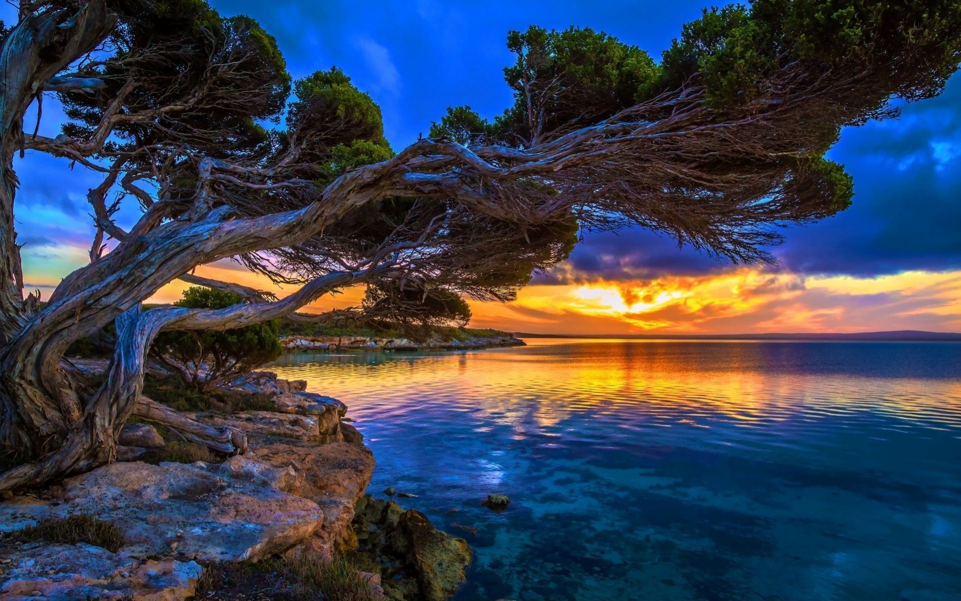 Sunset by the sea in blue colors
