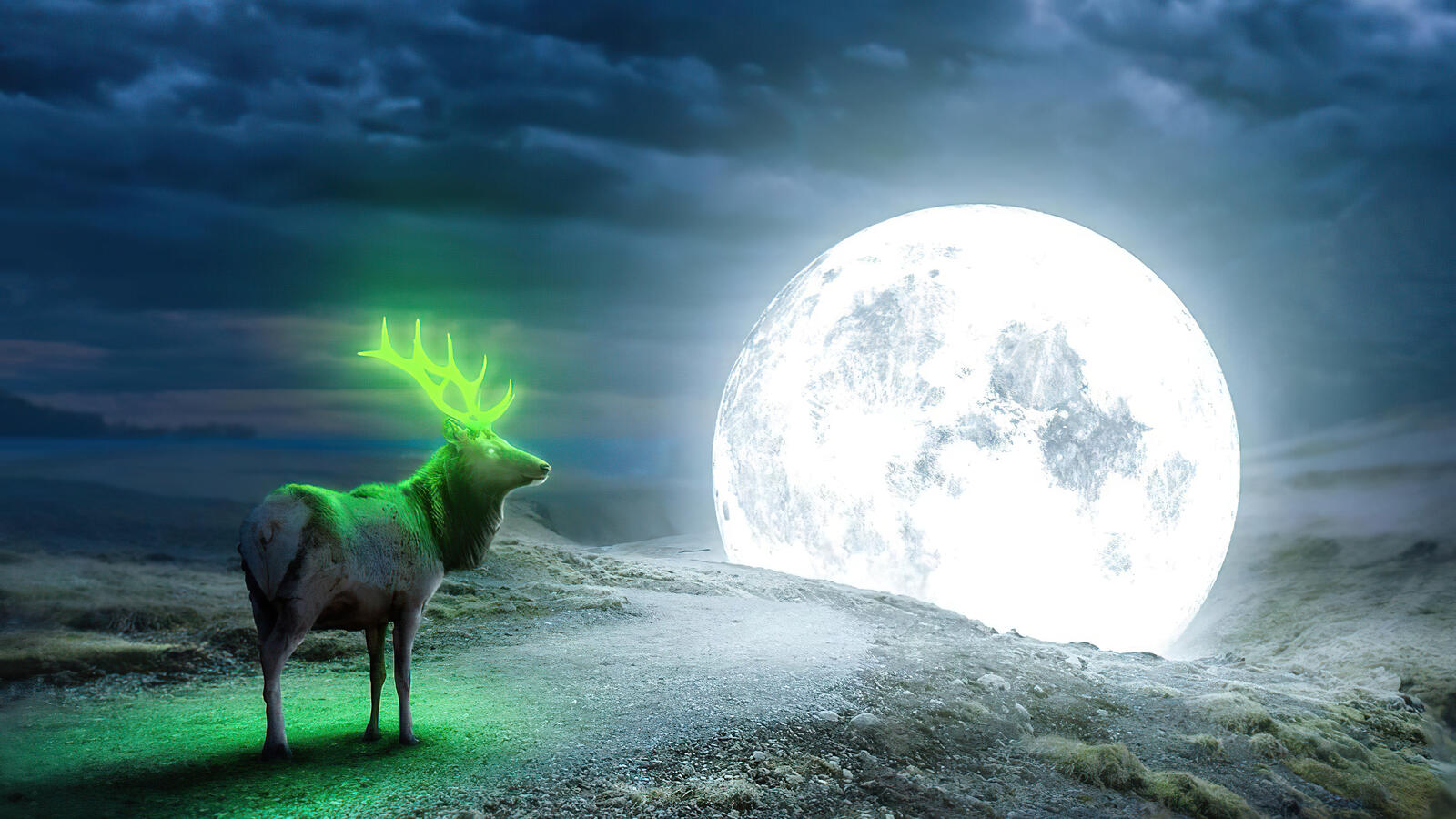 Бесплатное фото Фантастическая фотогорафия с изображением оленя со светящимися зелеными рогами