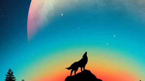 Силуэт волка на фоне цветного неба