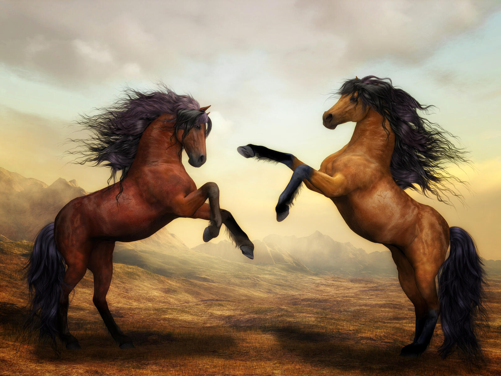 Бесплатное фото Фото обои с двумя лошадьми