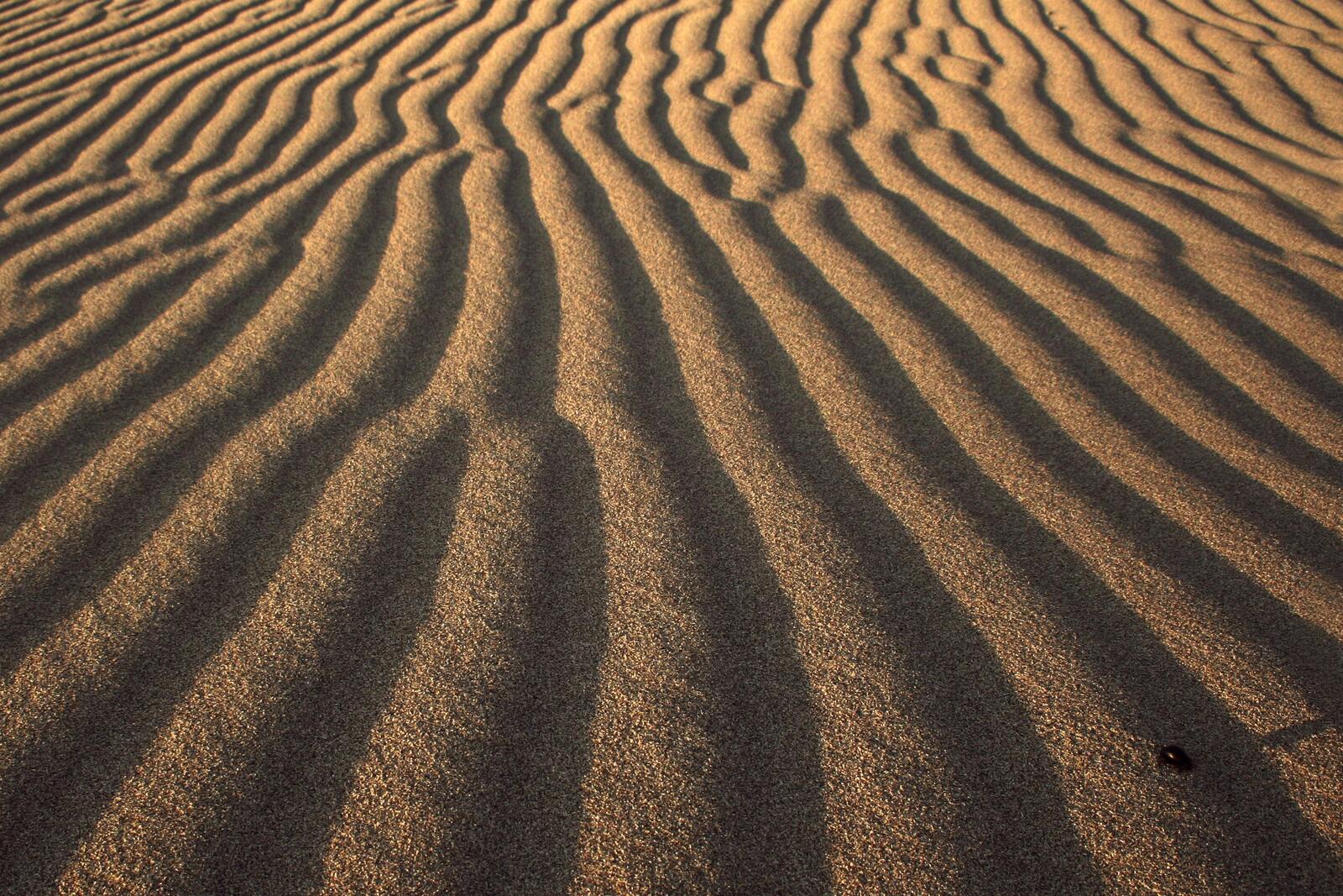 Free photo Desert terrain of sand