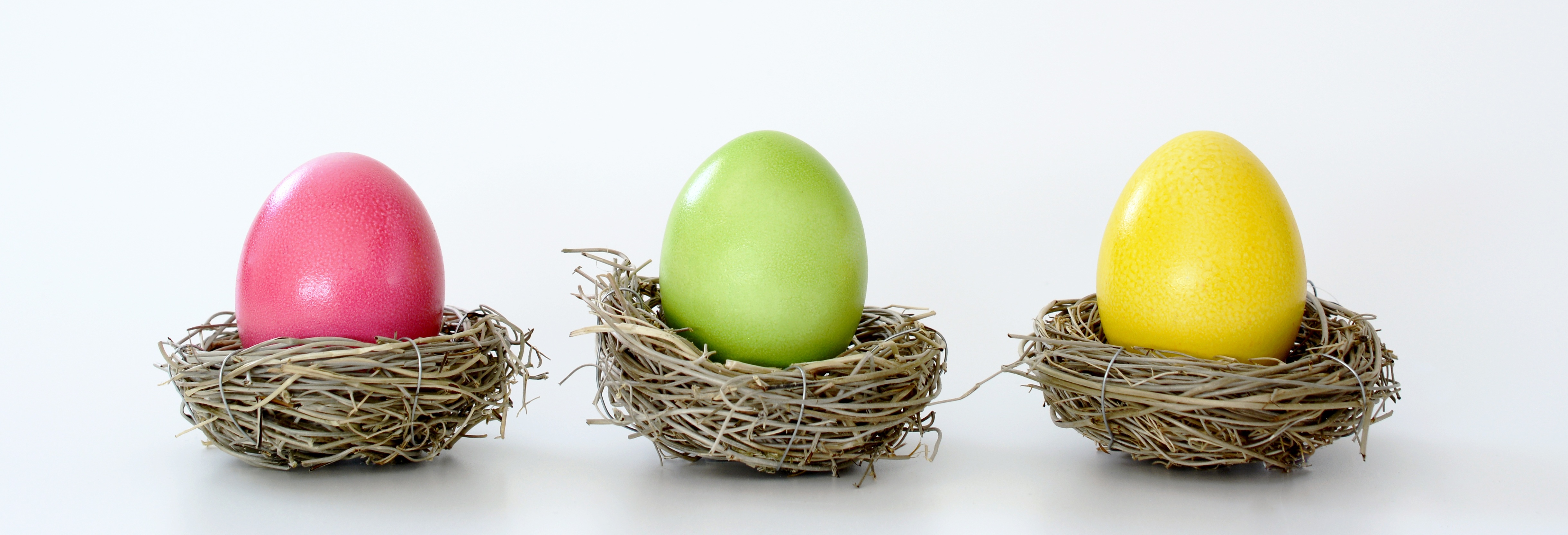 Бесплатное фото Три пасхальных яйца в гнезде