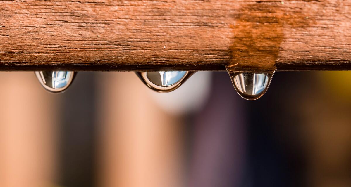 Water droplets hanging from the wooden surface
