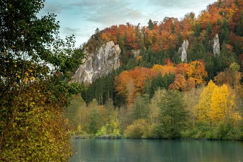 Река в Баварии на берегу которой осенние деревья