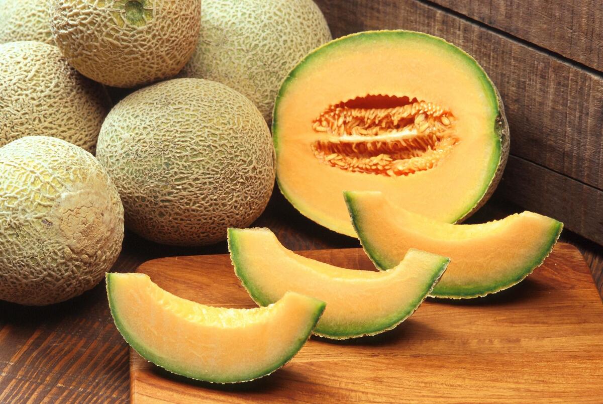 Melon cut into slices