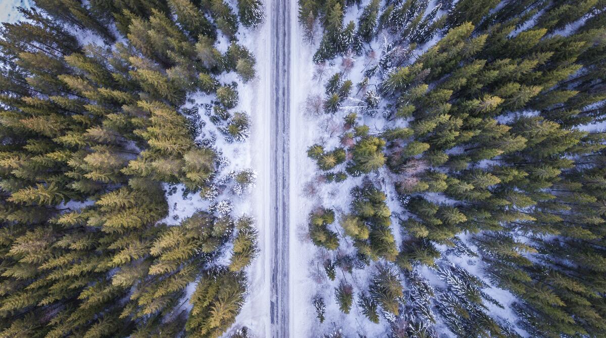 A bird`s-eye view of the winter road
