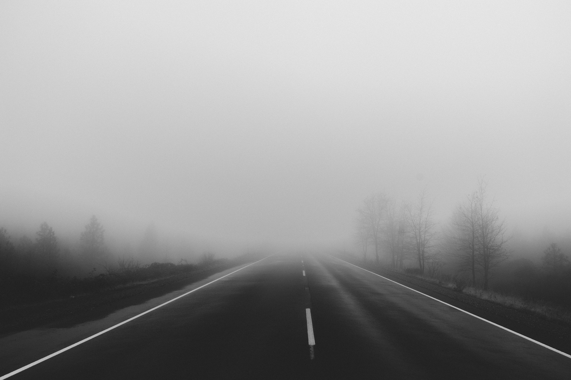 单色照片中的大雾弥漫的道路