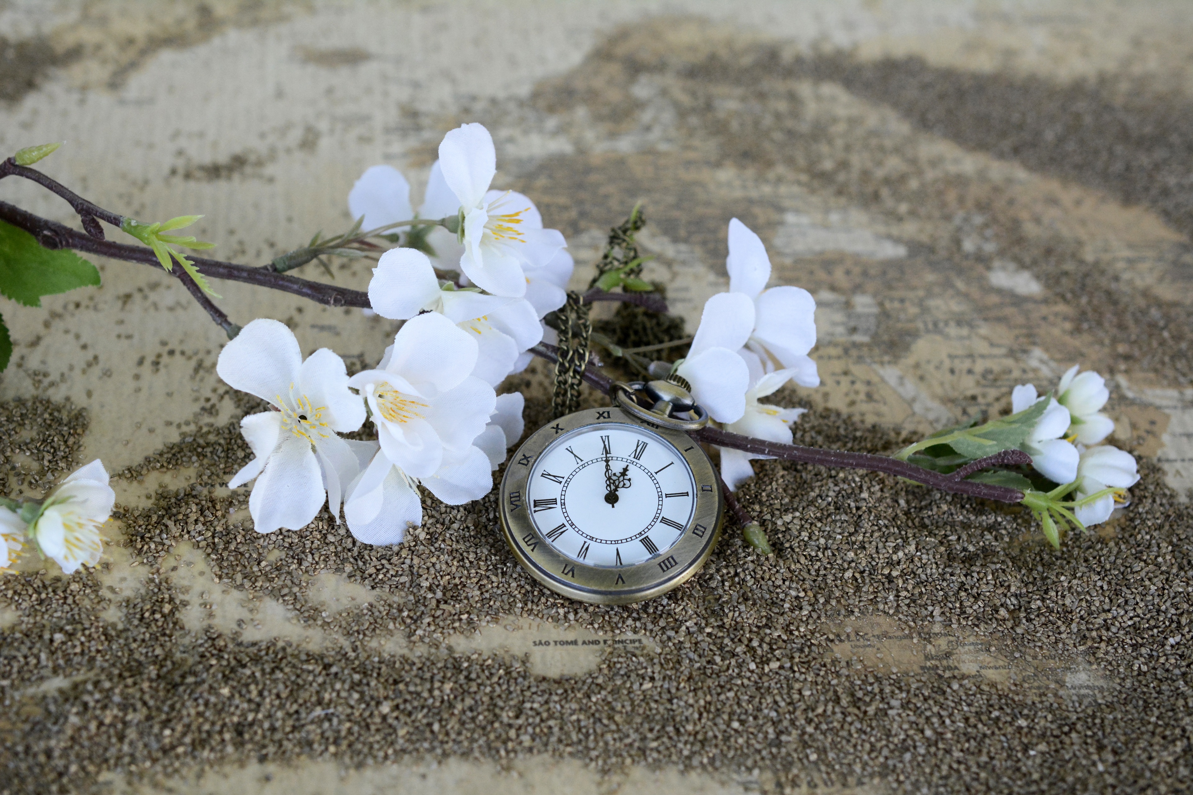 Free photo Pocket watch with a sprig of white flowers