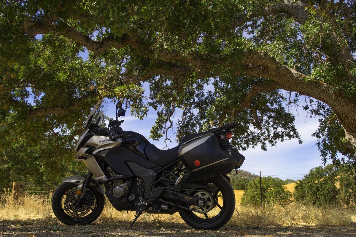 Black Kawasaki motorcycle parked in the shade under tree branches