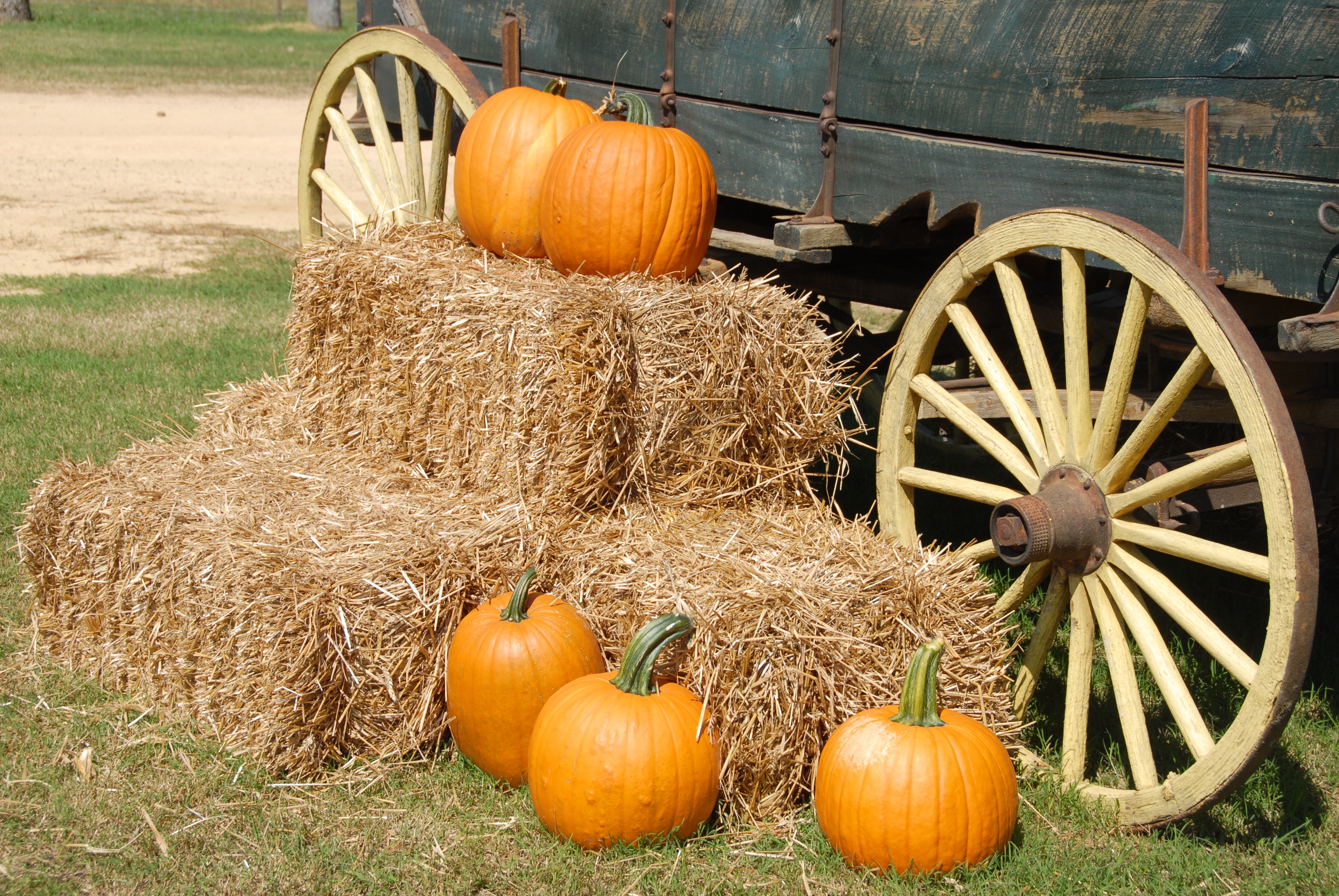 A pumpkin lies on the haystack next to the cart