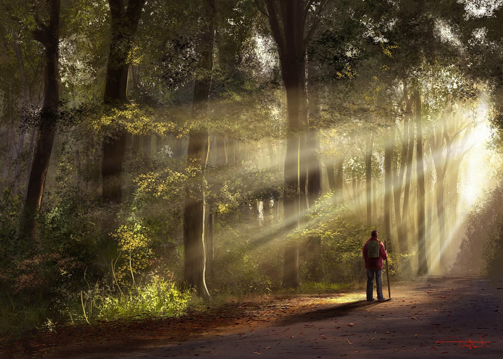 Free photo Man looks at sunlight streaming through tree branches