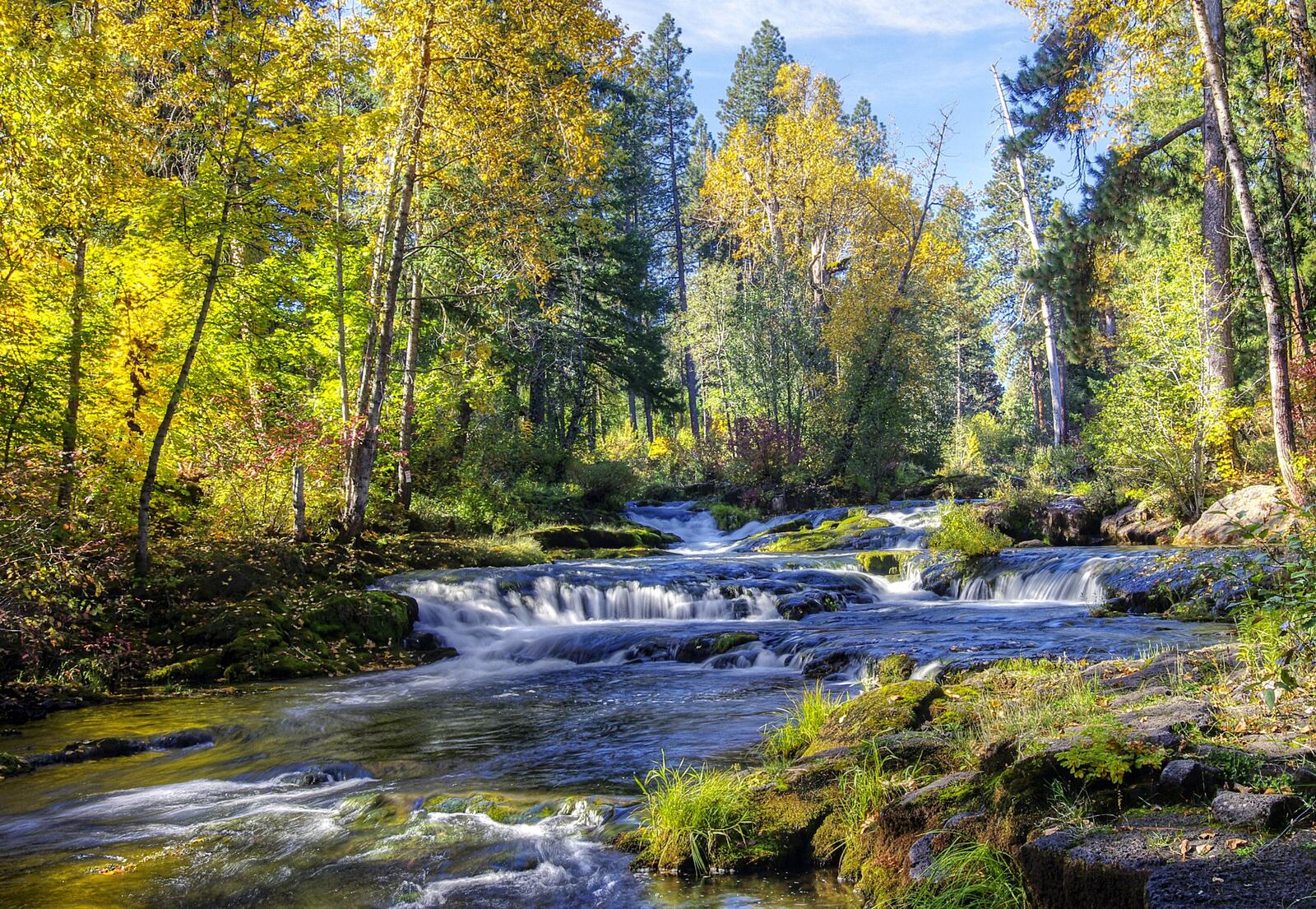 Бесплатное фото Ступенчатый водопад в лесу