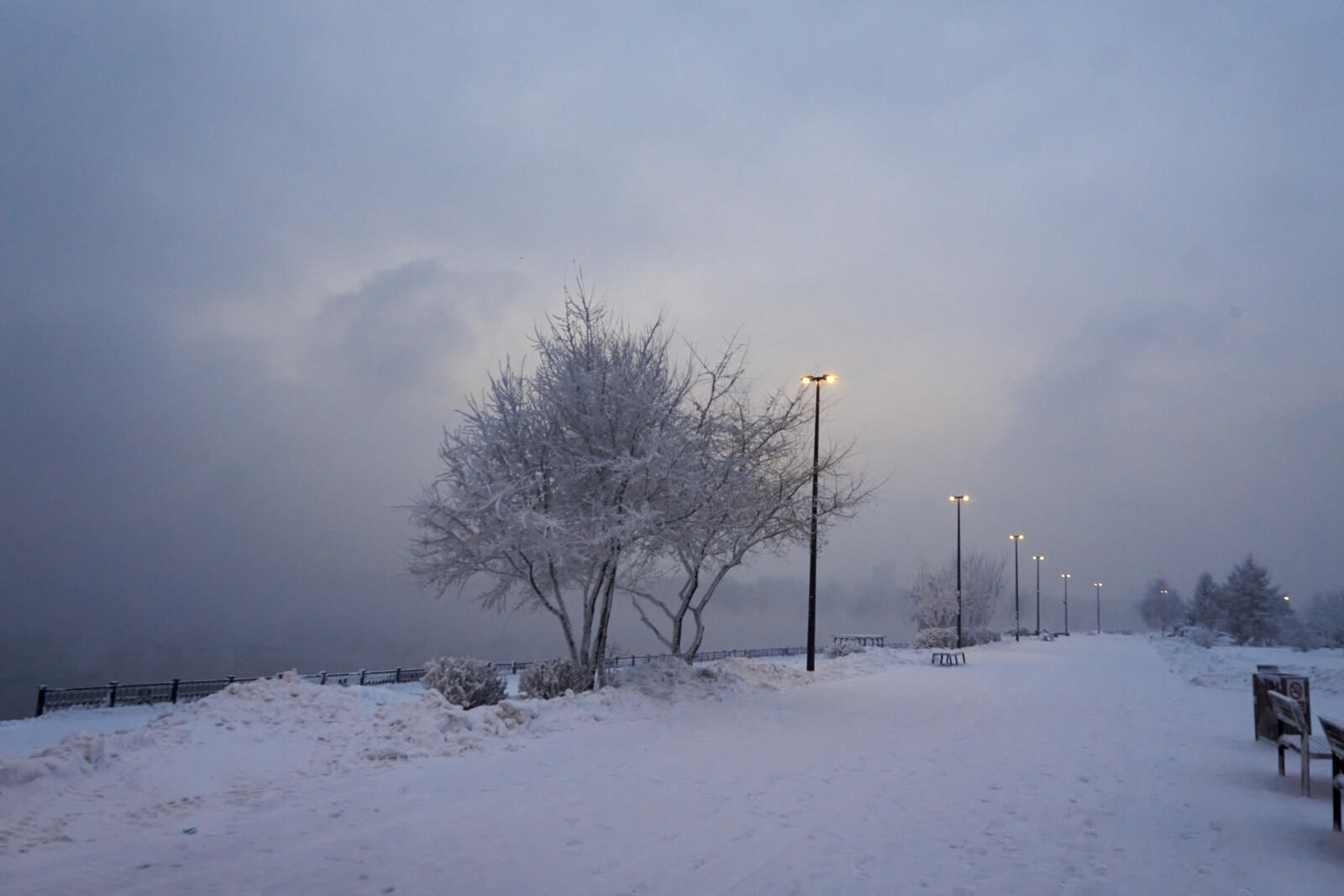 Бесплатное фото Зимний снежный вечер за городом с включенными фонарями