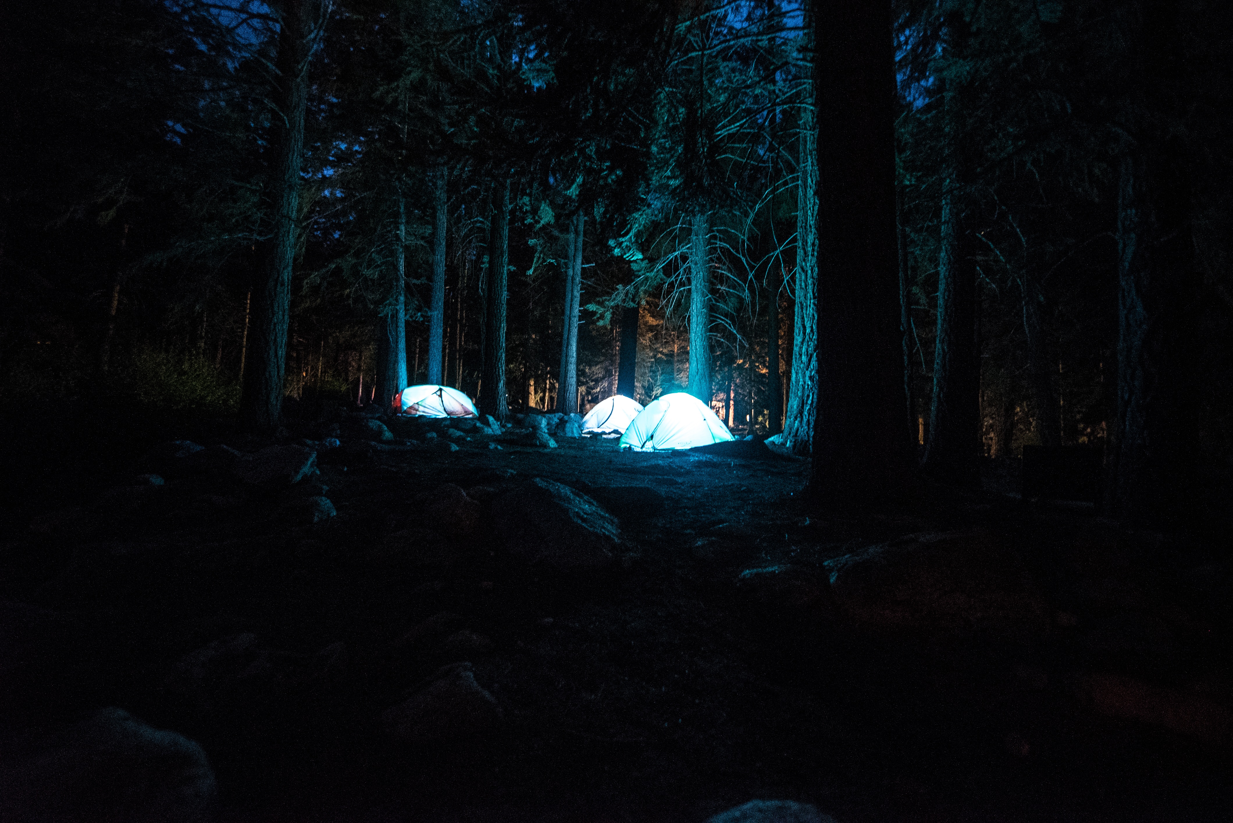 Camping in tents in the night forest