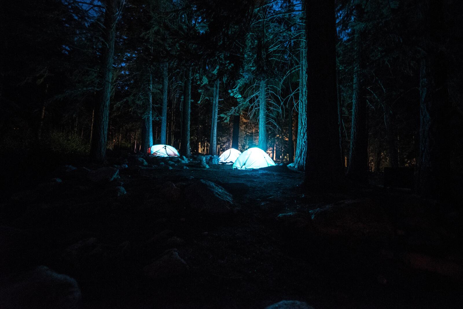 Бесплатное фото Кемпинг в палатках в ночном лесу