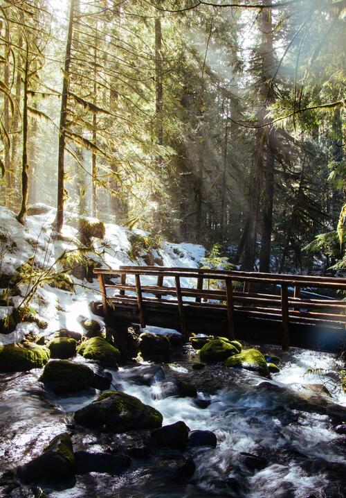 Sunlight in the woods falls on a wooden bridge over a strong river current