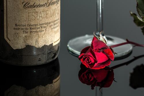 A red rose lies on a glass surface