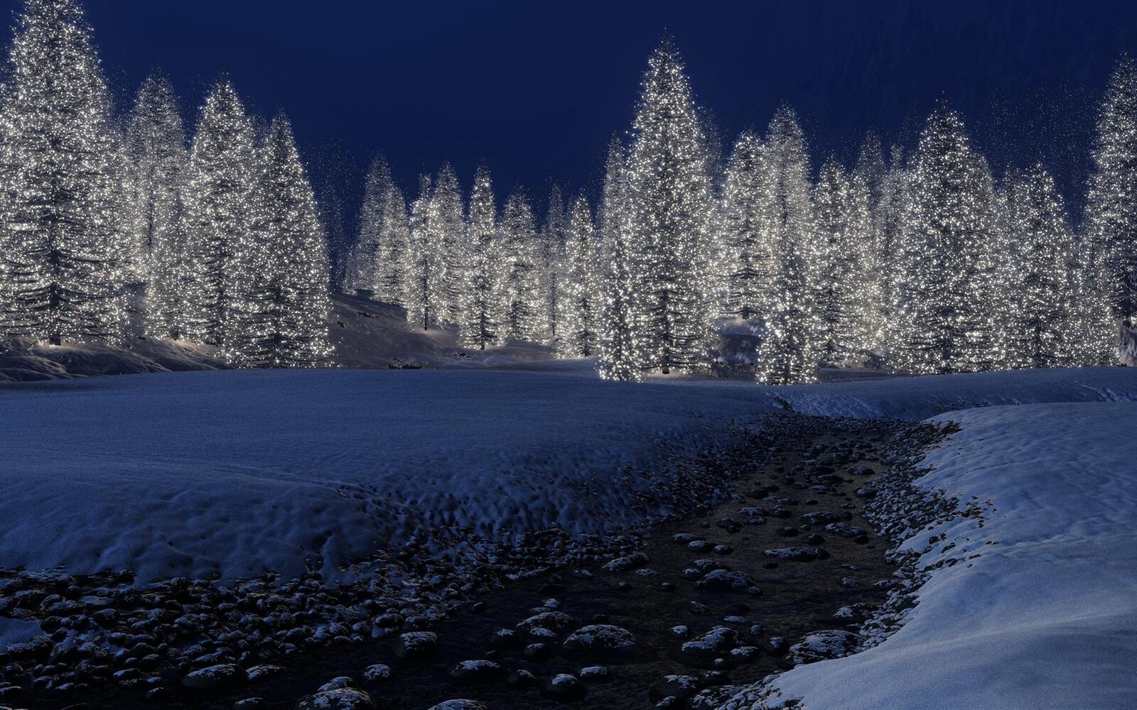 A big forest with glowing Christmas trees.