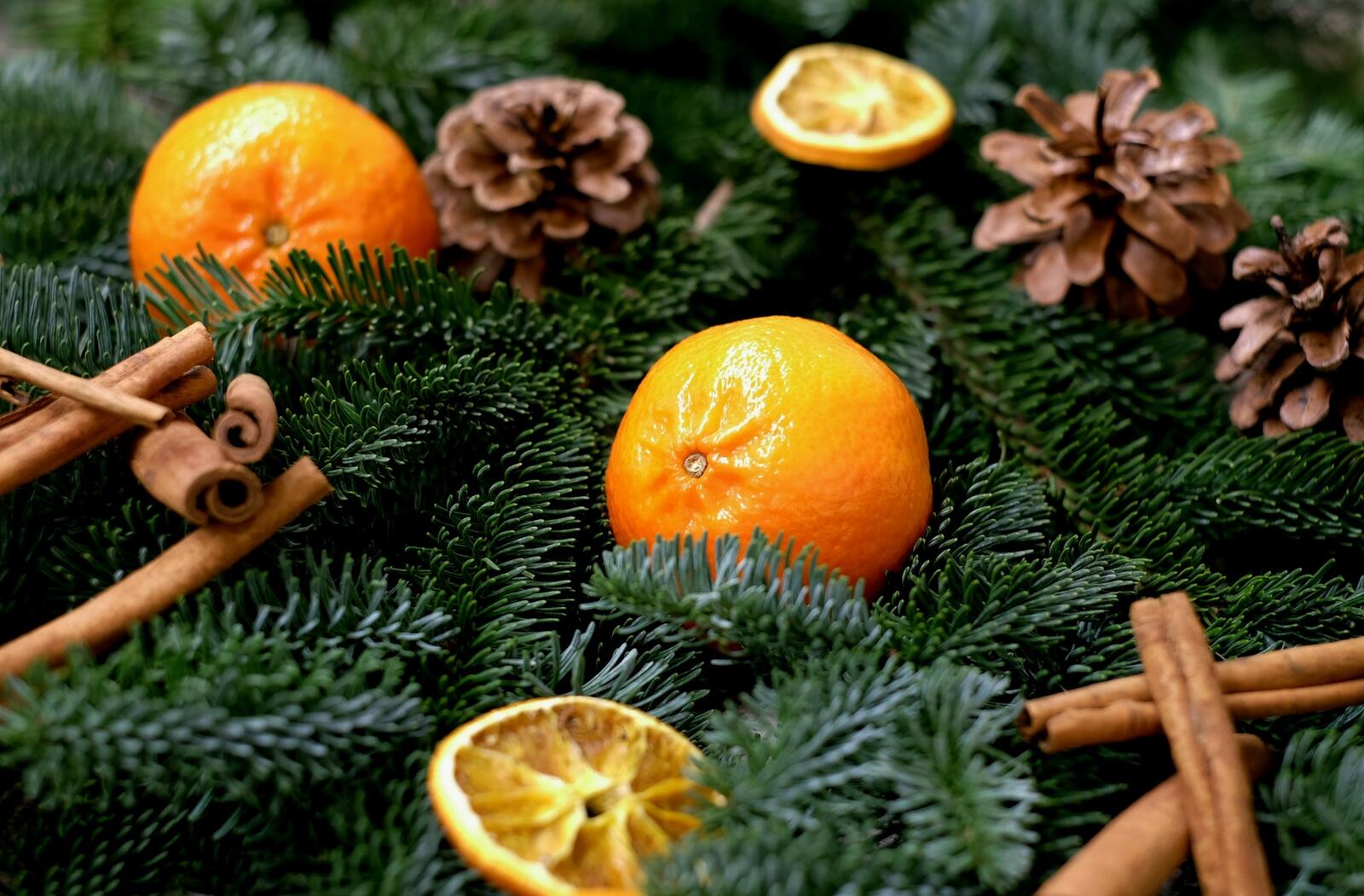 Бесплатное фото Рождественское настроение с еловыми веточками и мандаринами
