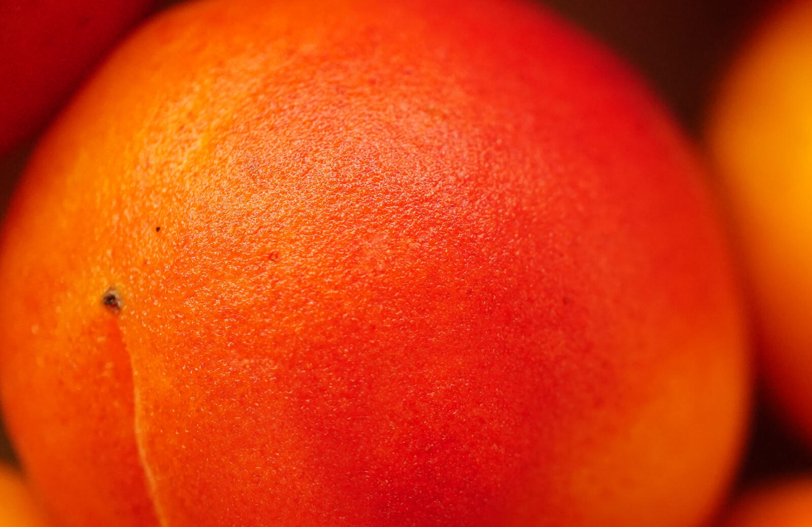 Обои обои персикового цвета макро фрукты на рабочий стол
