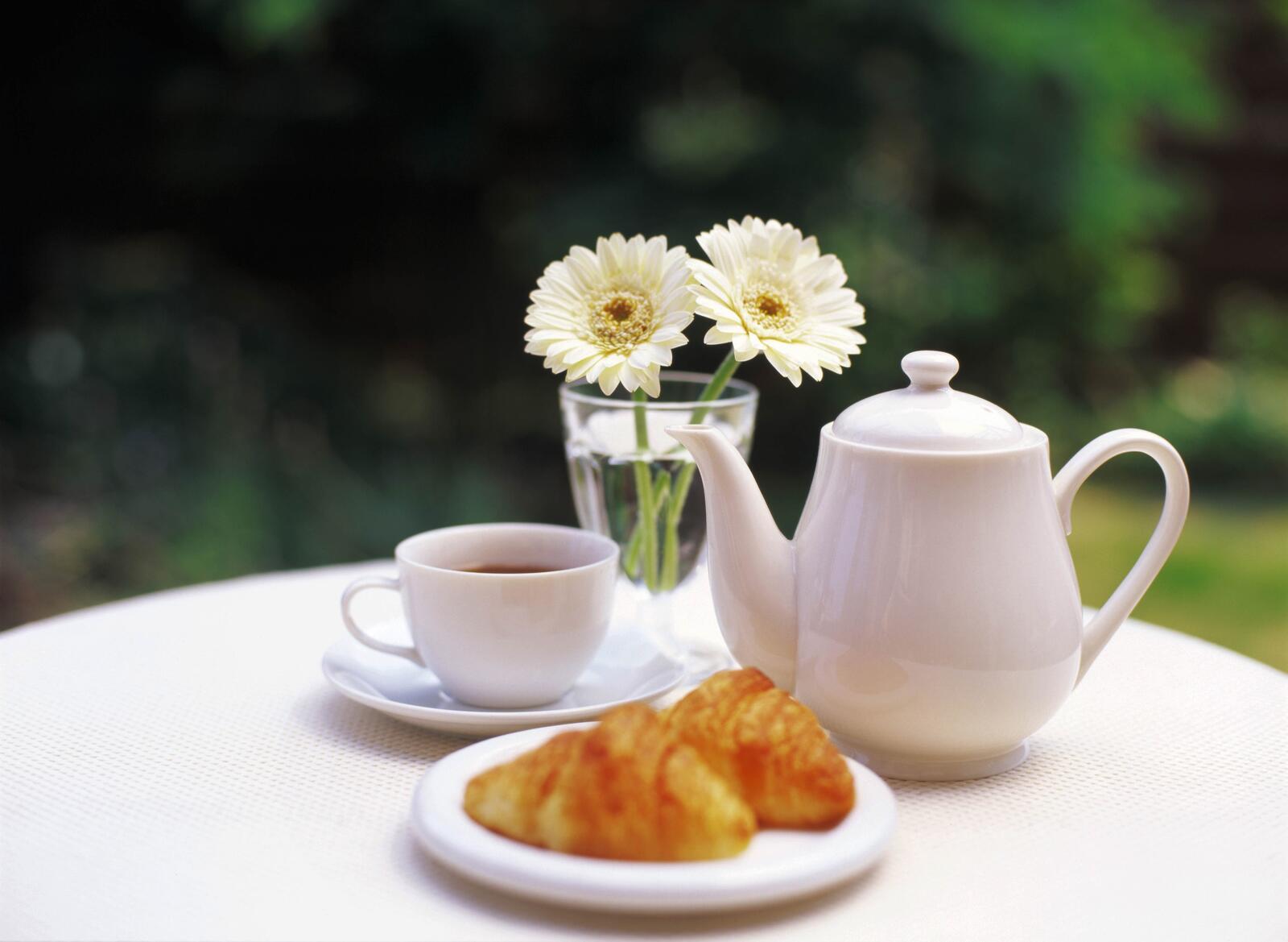 免费照片有两朵白色雏菊的茶会。