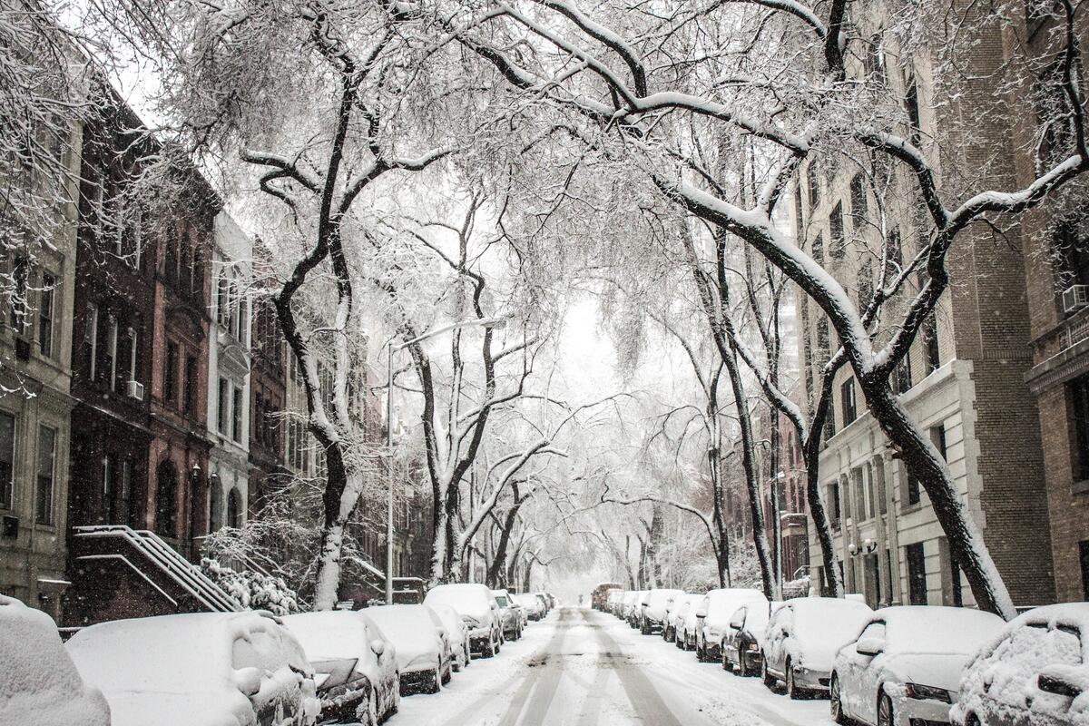 Первый снег во дворах Нью-Йорк