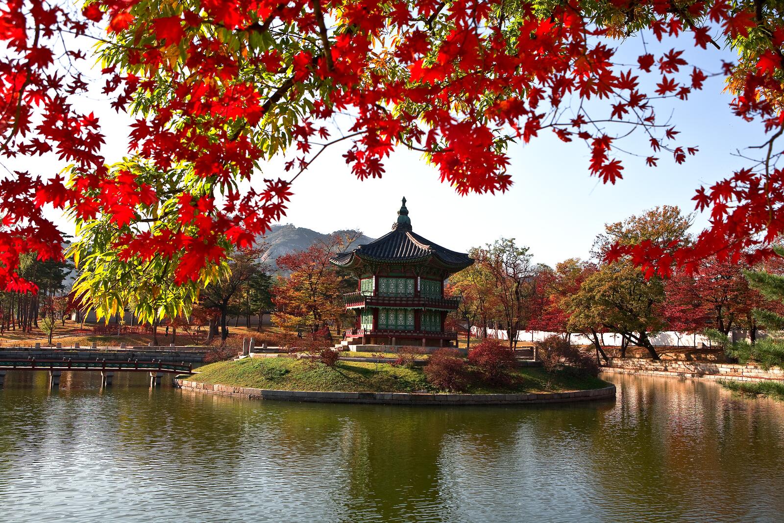 免费照片日本的秋天
