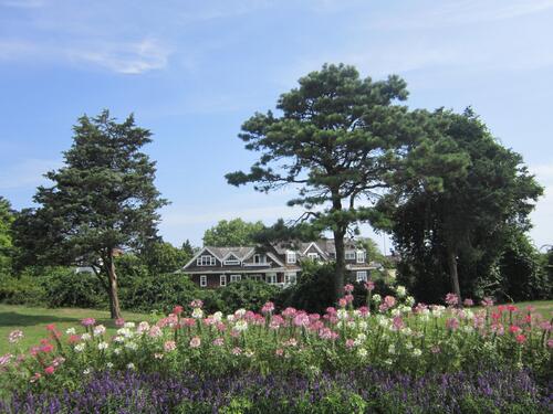 Полянка с цветами с видом на загородный дом