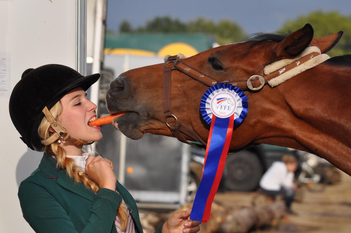 A horsewoman shares a carrot with her stallion.