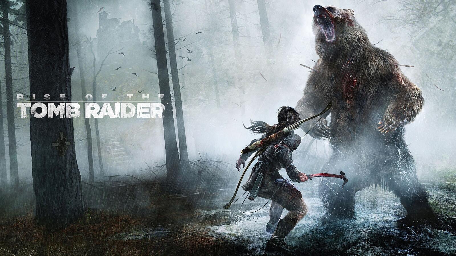 Wallpapers rise of the tomb raider Lara Croft bear on the desktop
