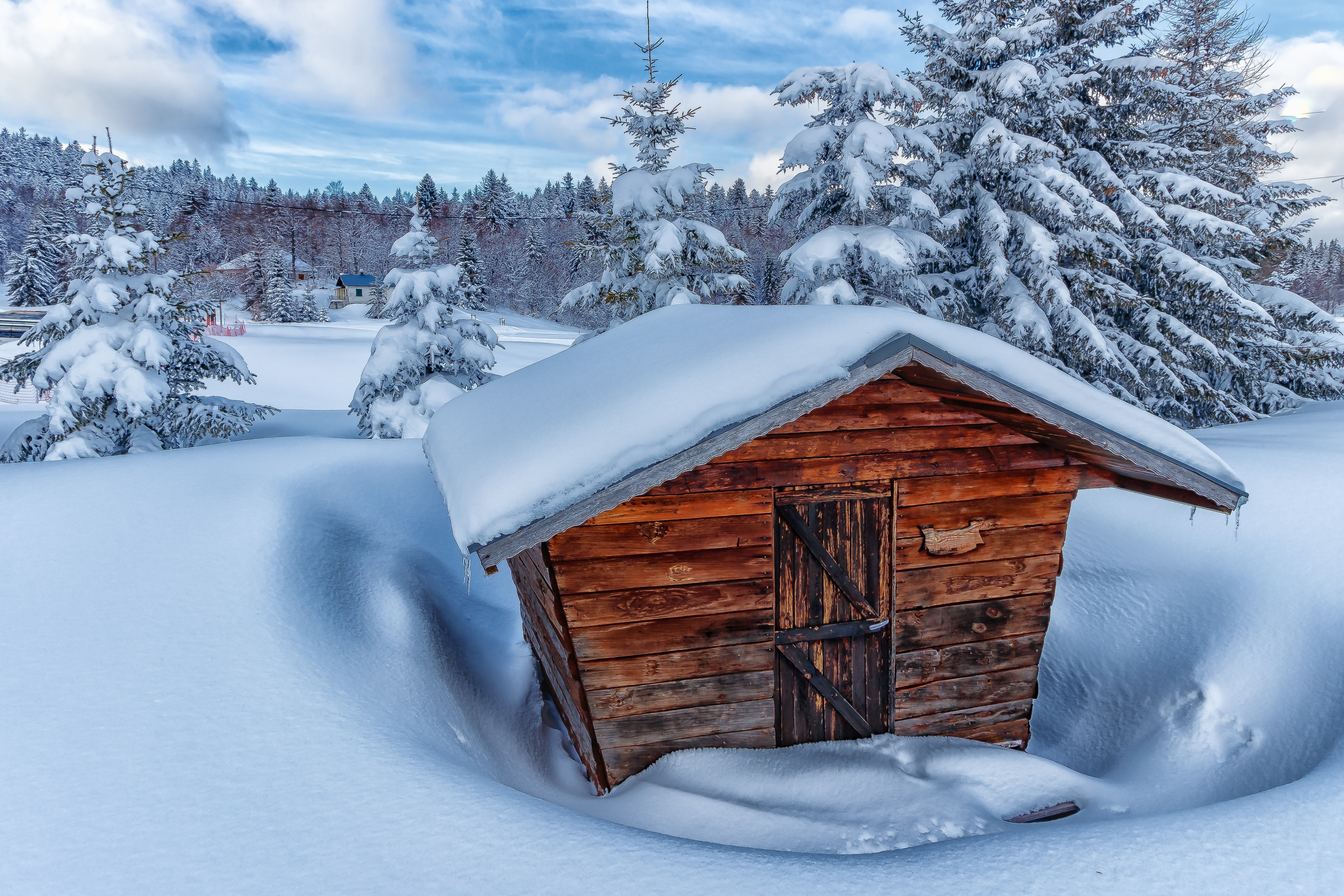 Фото бесплатно сарай, снег, деревья