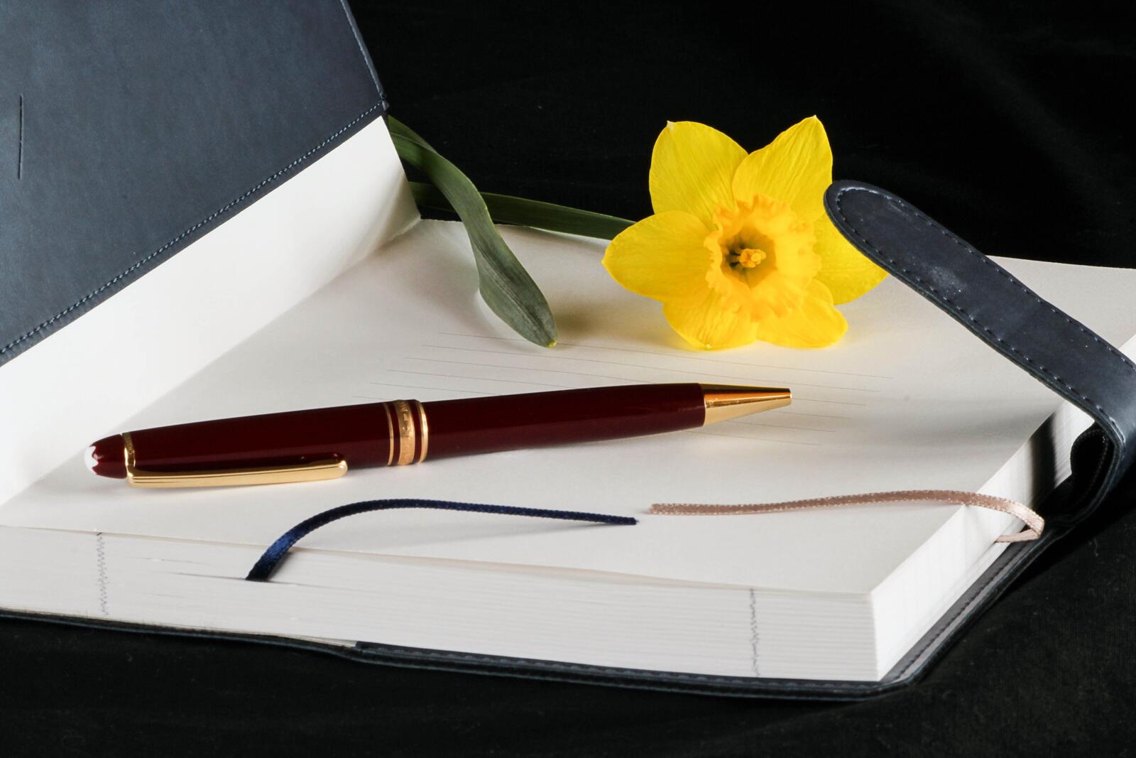 Free photo The yellow flower lies on the diary