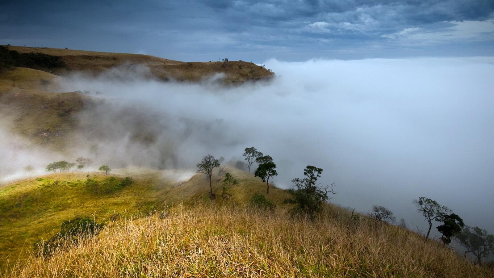 Бесплатное фото Густой туман в горах