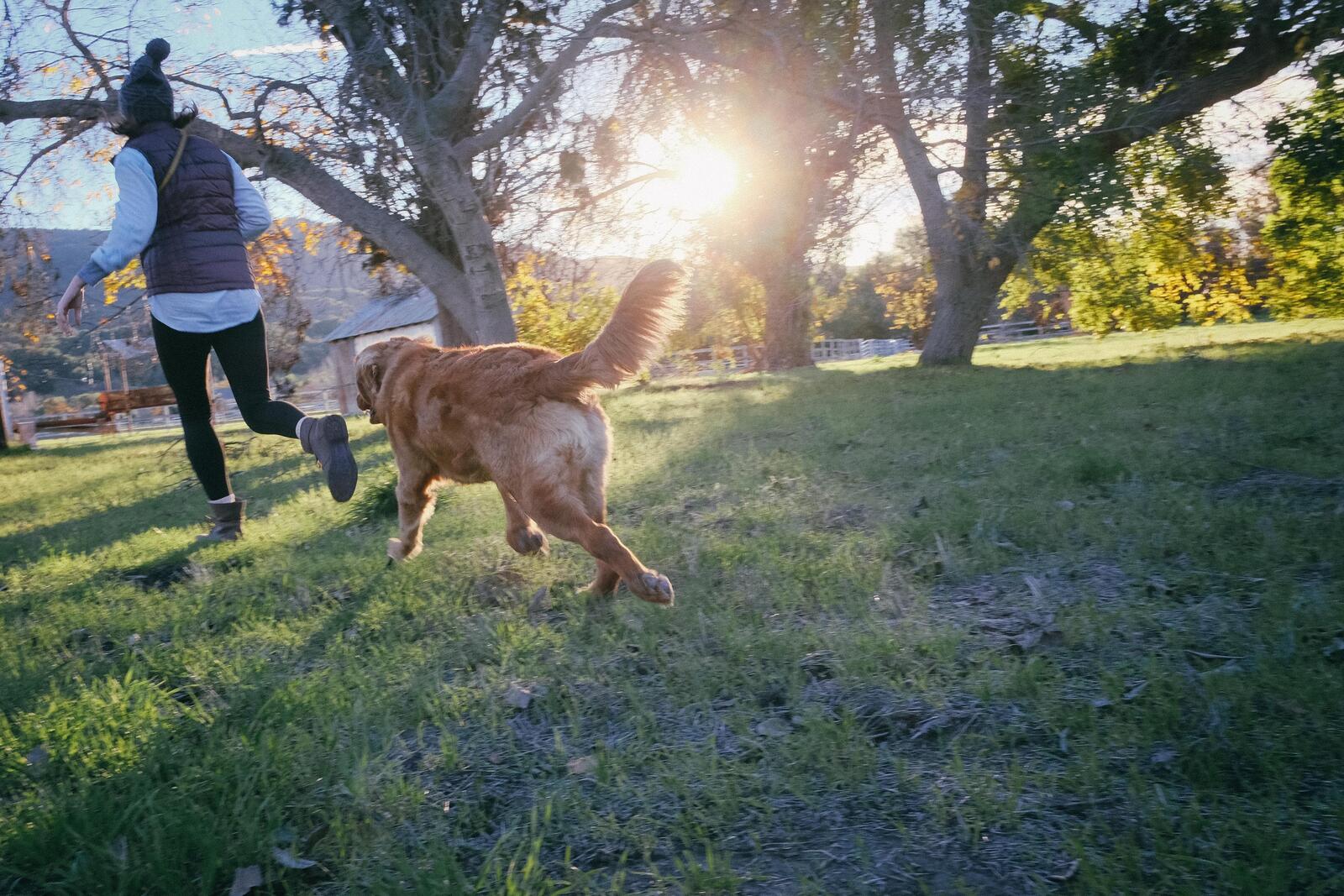 Бесплатное фото Девушка гуляет со своей собакой