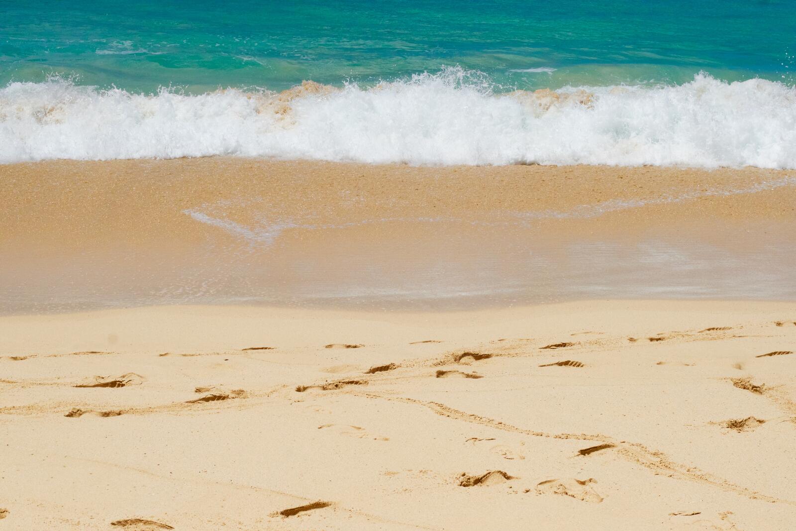 Бесплатное фото Пляж с человеческими отпечатками ног