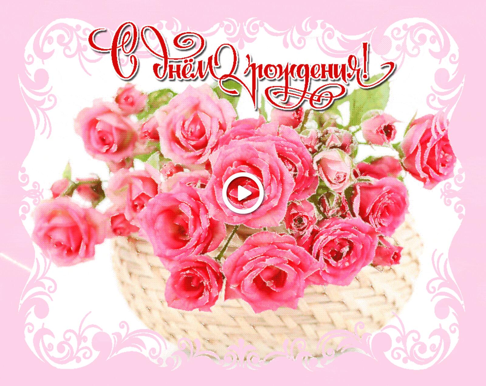 Free postcard Pink roses for a birthday party