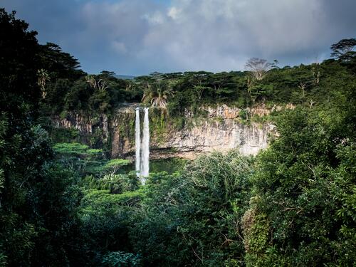 Большой водопад в тропическом лесу джунглей