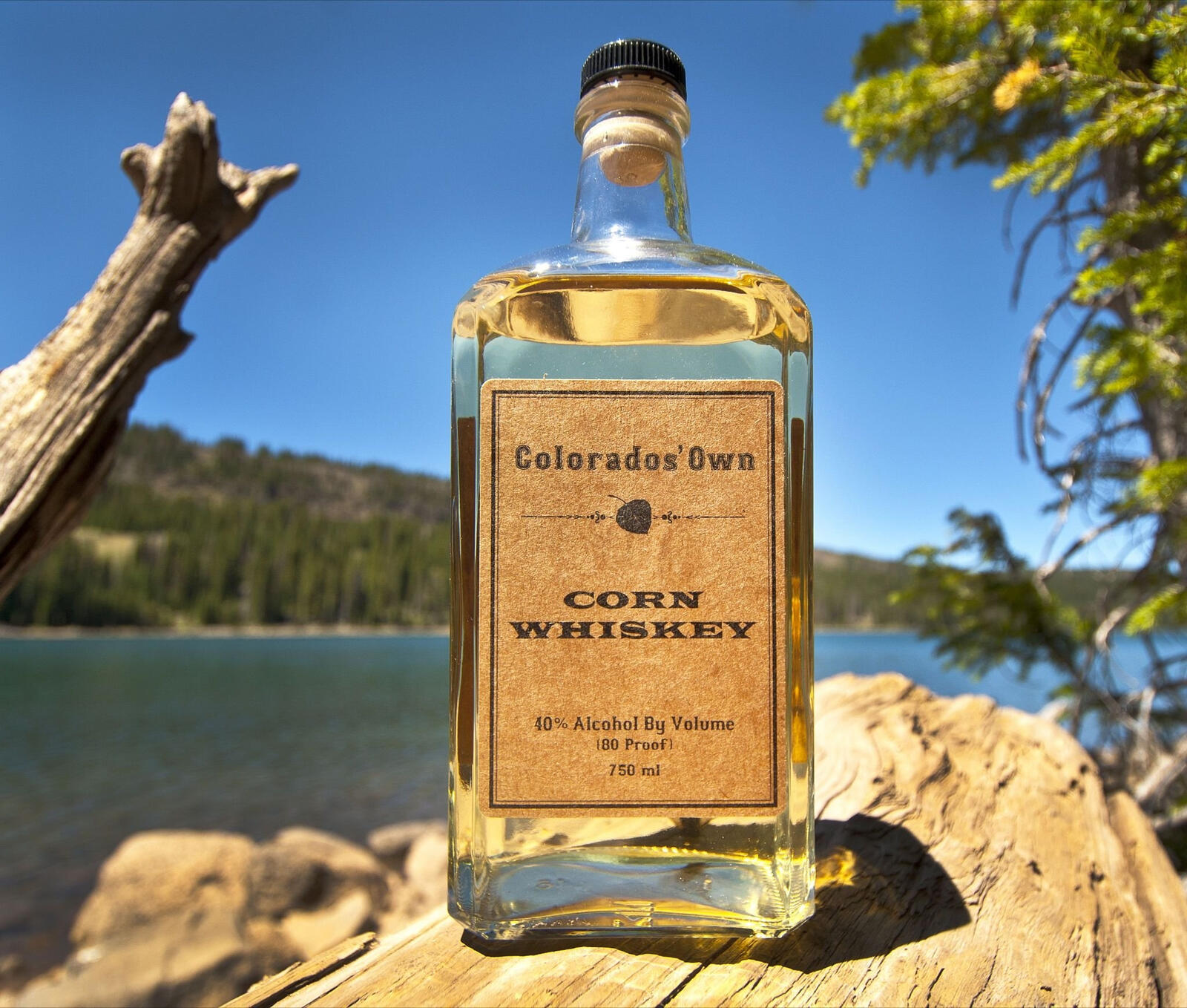 Free photo A bottle of whiskey against the backdrop of nature
