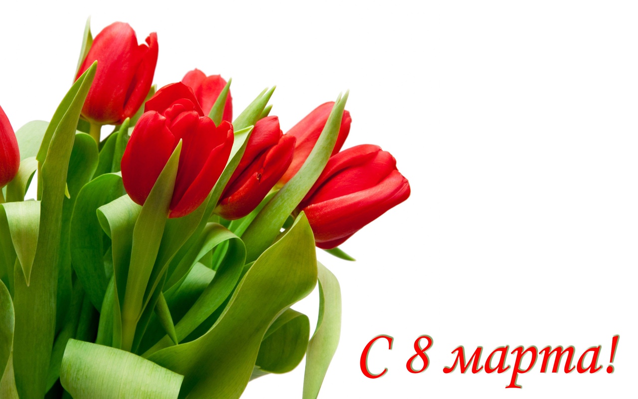 Free postcard A bouquet of red tulips for March 8.
