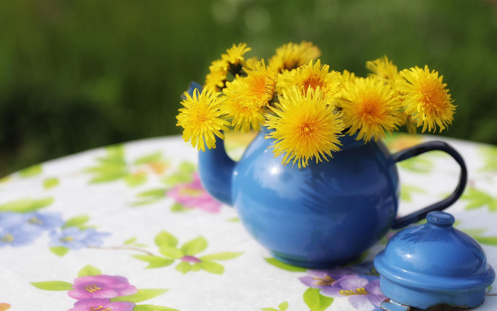 Free photo Blue teapot with yellow dandelions