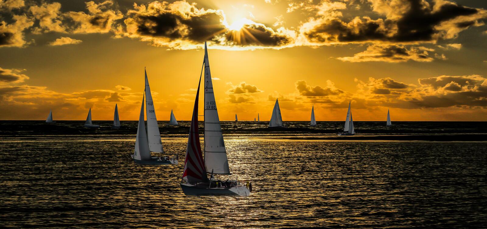 免费照片夕阳下的帆船聚会