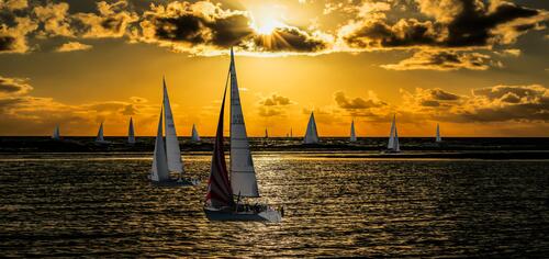 Sailboat gathering at evening sunset