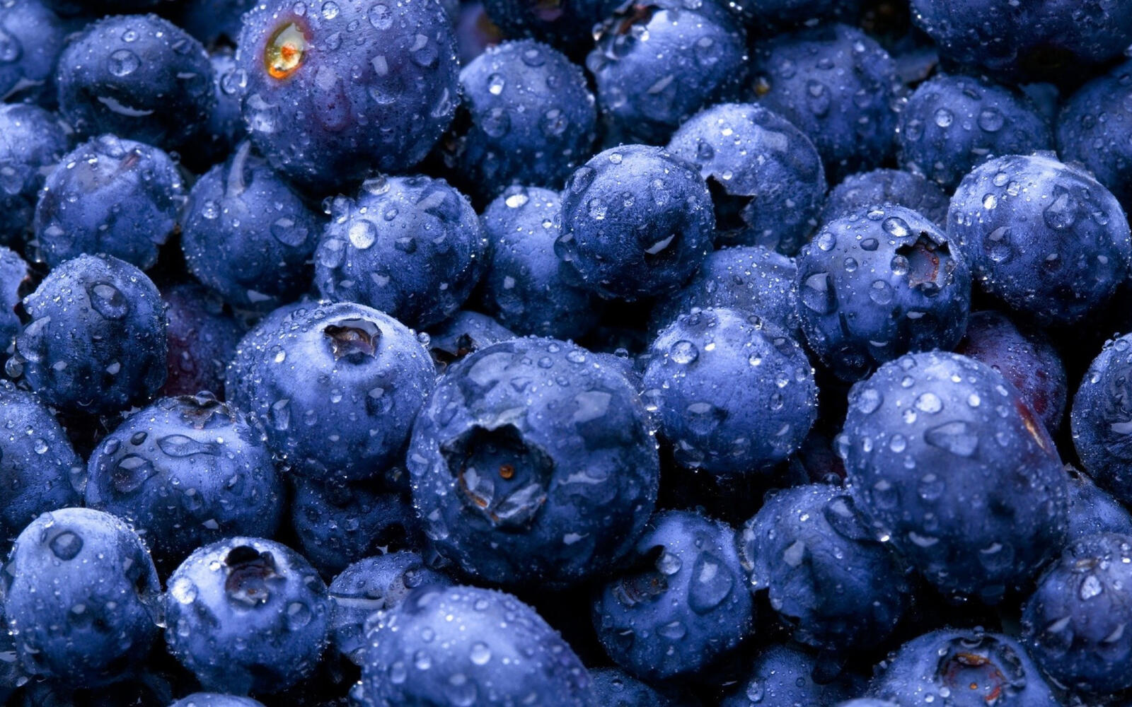 Free photo Washed blueberries