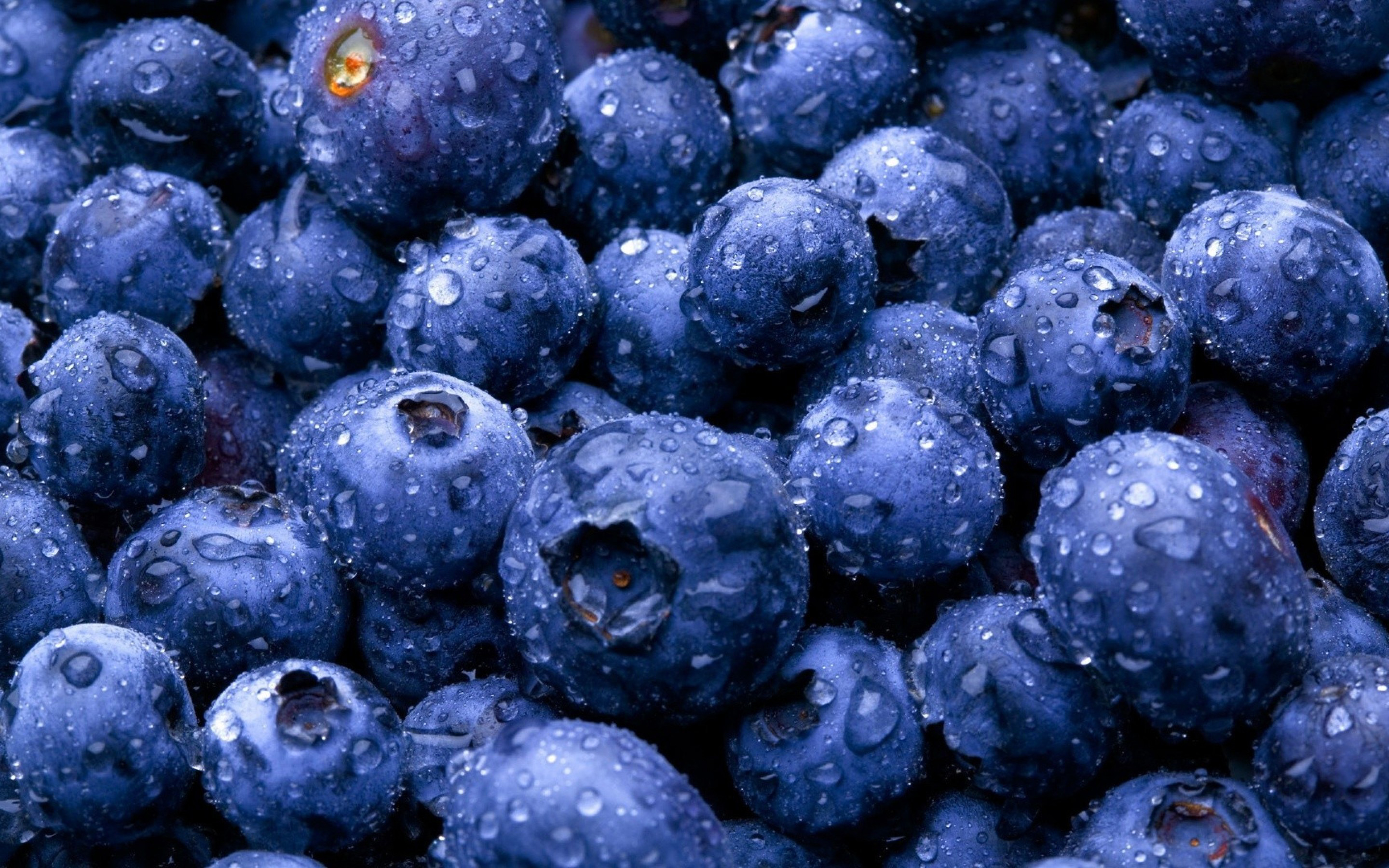 免费照片洗净的蓝莓