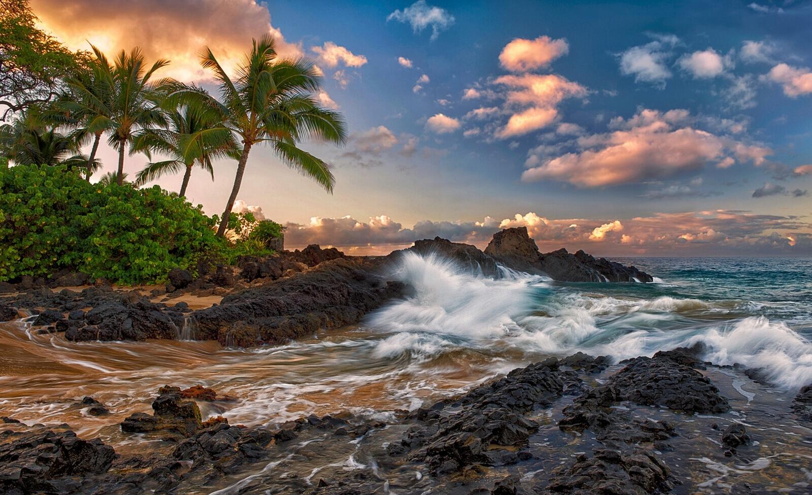Бесплатное фото Волны на гавайском пляже