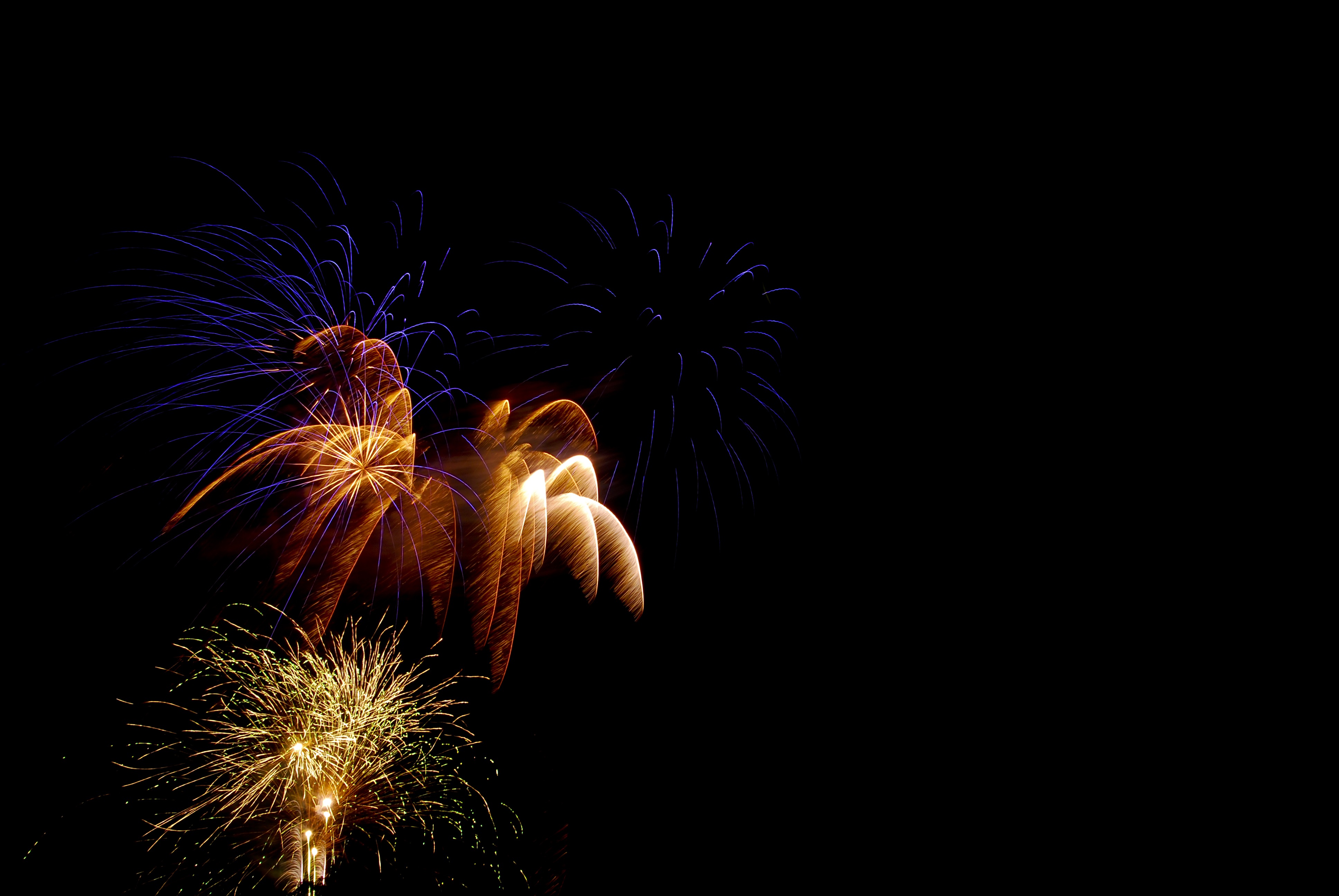 Beautiful fireworks against the black sky.