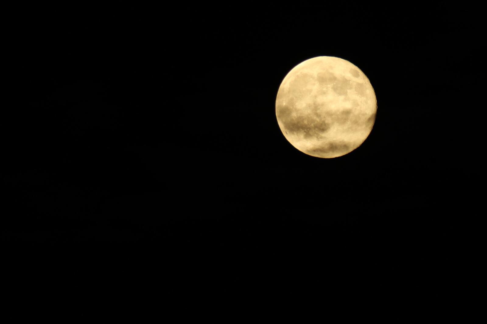 免费照片黑色背景上的月亮全息图