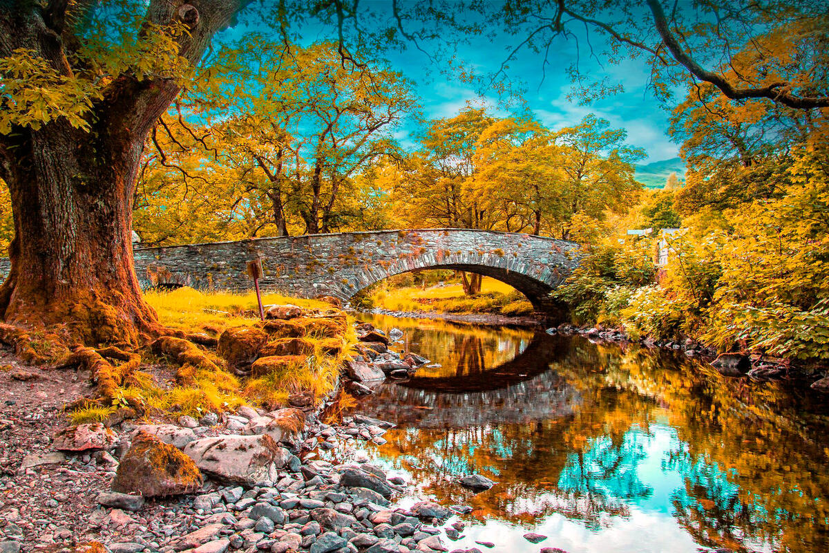 Осенний парк с мостиком через ручей