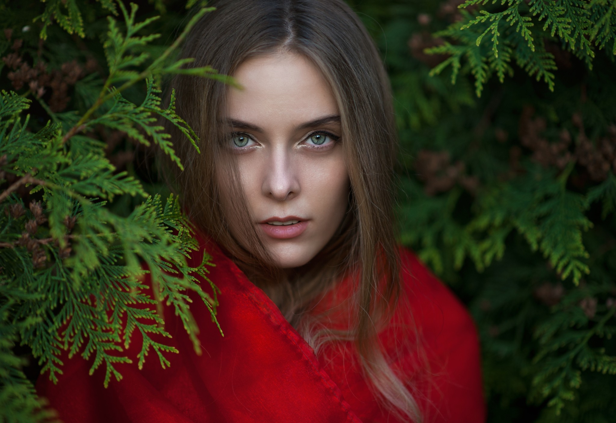 肩披红色斗篷的阿米娜-卡蒂诺娃
