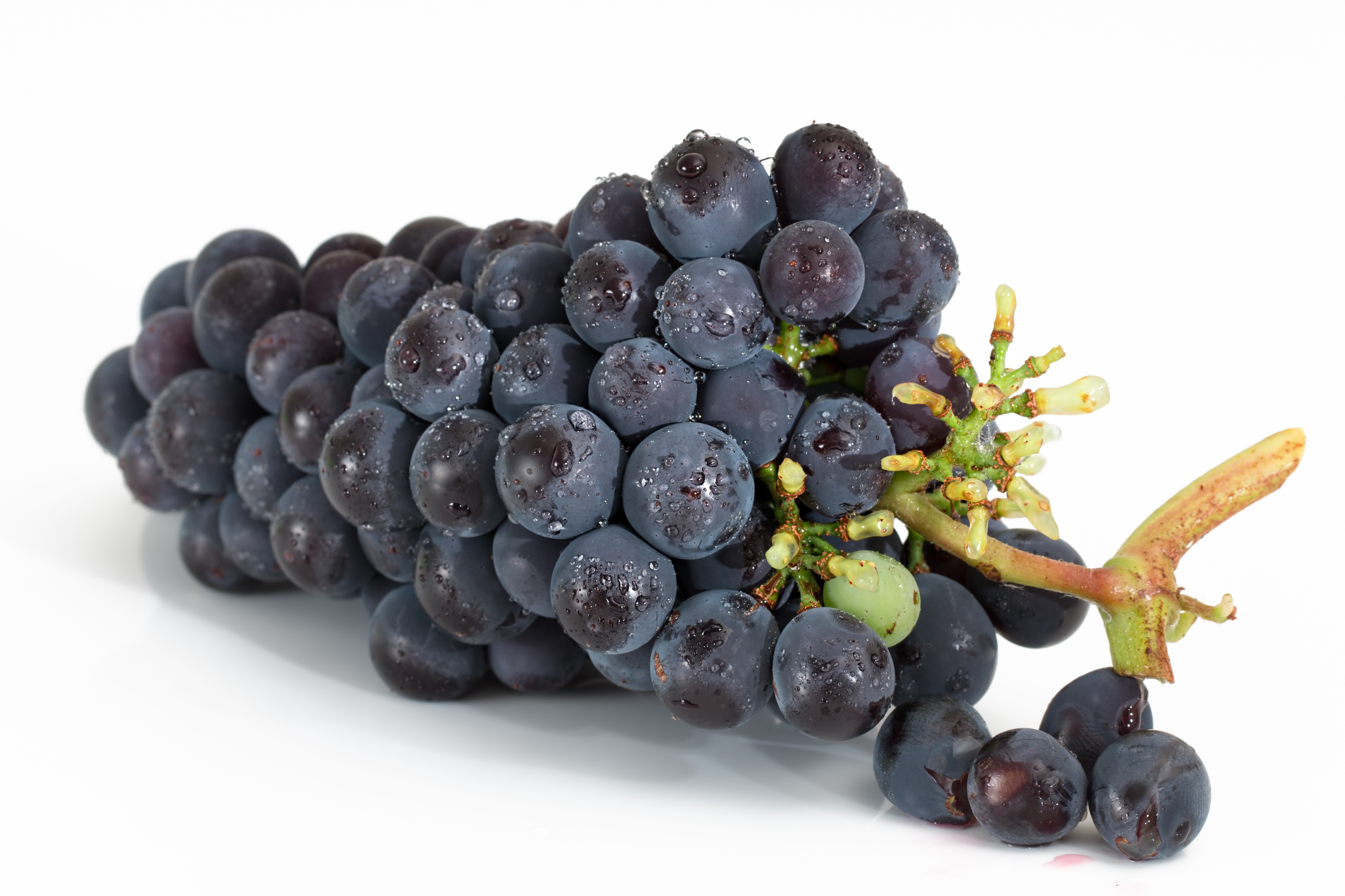 Бесплатное фото Веточка с черным виноградом